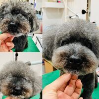ブログ画像