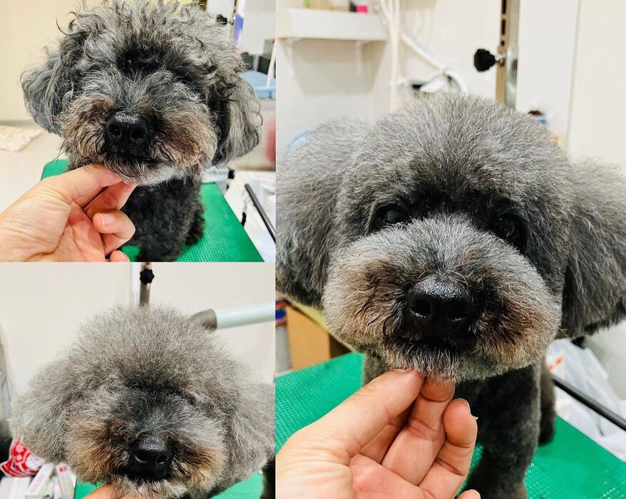 ブログ画像