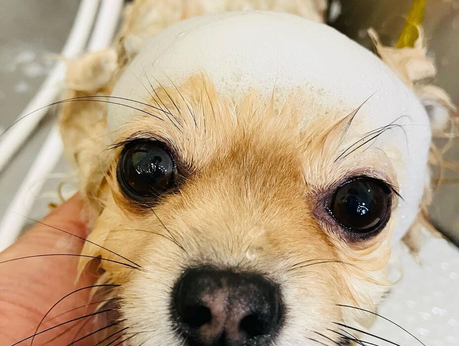 ブログ画像
