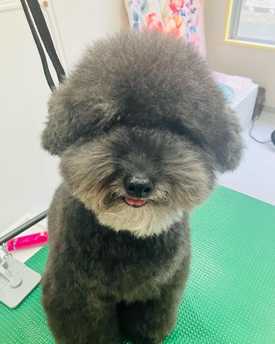 ブログ画像