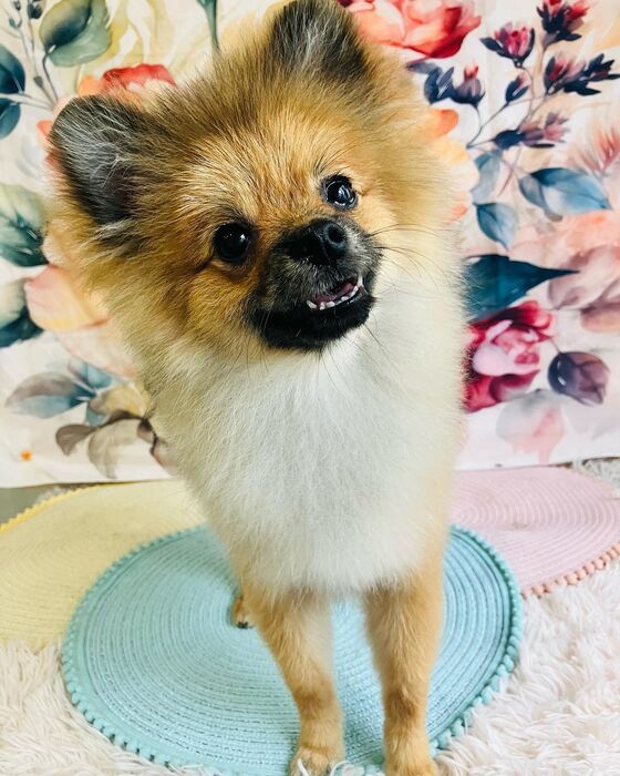 ブログ画像