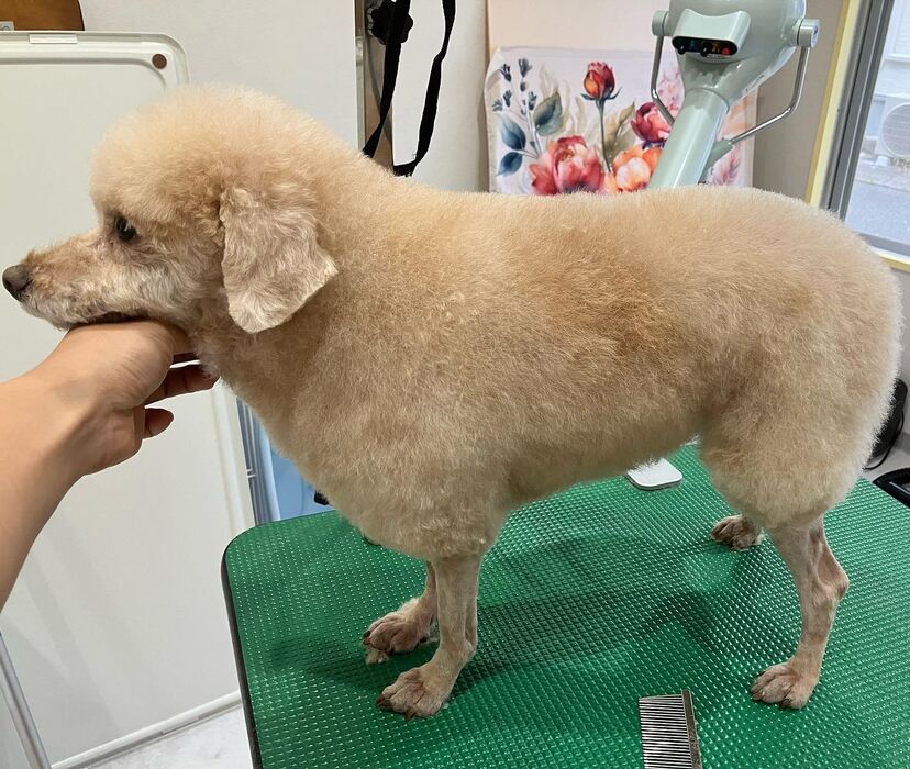 ブログ画像
