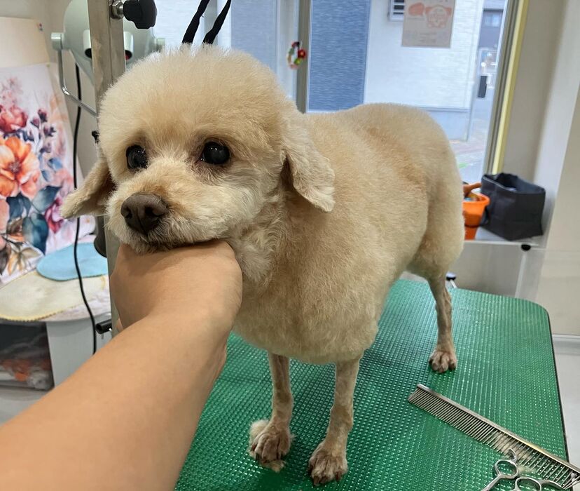 ブログ画像