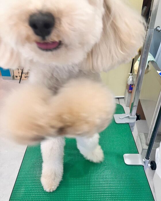 ブログ画像