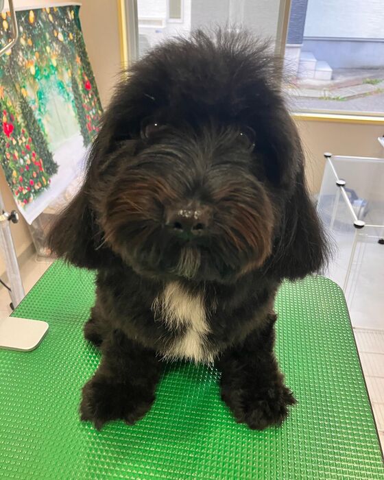 ブログ画像