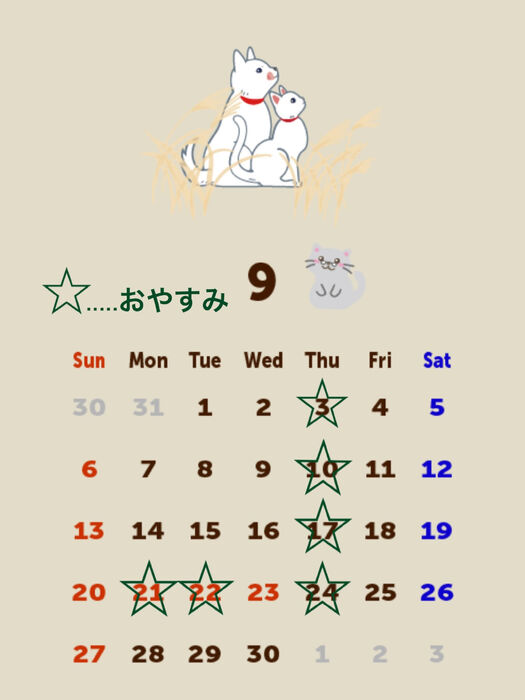 ブログ画像