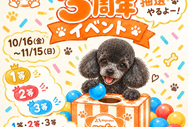 画像2141：【3周年抽選ガチャ💫】✨✨✨